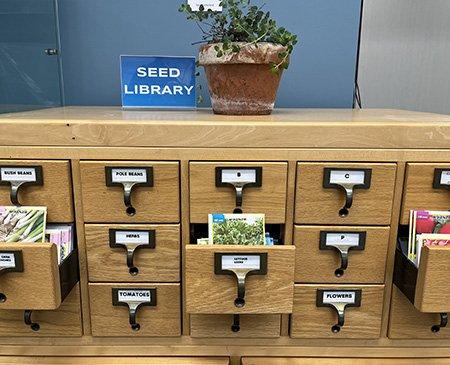 Seed library with index drawers and a potted plant on top.
